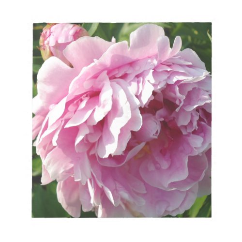 Pink Peony photo cottage farmhouse floral garden Notepad