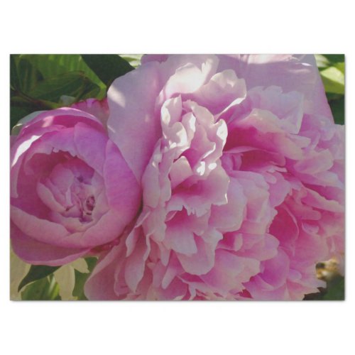 Pink Peony photo cottage farmhouse floral garden Tissue Paper