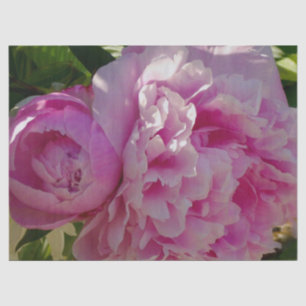 Pink Peony photo cottage farmhouse floral garden Tissue Paper