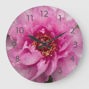Pink Peony Photograph Acrylic Wall Clock