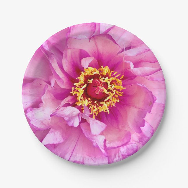 Pink Peony Plates, 7" Round Paper Plate (Front)