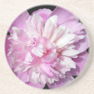 Pink Peony Sandstone Coaster