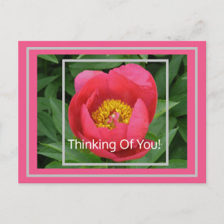 PINK PEONY/THINKING OF YOU POSTCARD
