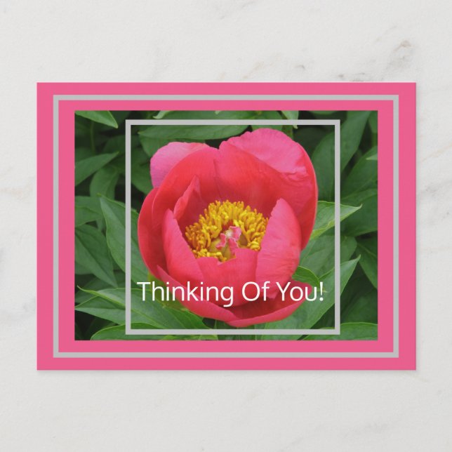PINK PEONY/THINKING OF YOU POSTCARD (Front)