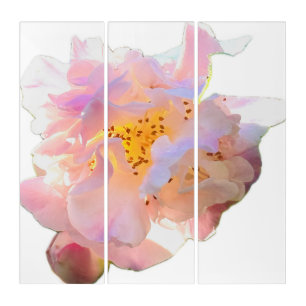 Pink Peony Watercolor 3-Piece Triptych Wall Art