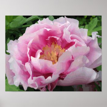 Pink Peony Watercolor Fine Floral Poster by euclid_ at Zazzle