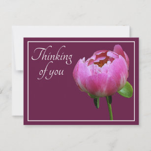 Pink Peony Wine Color Background Thinking Of You Postcard