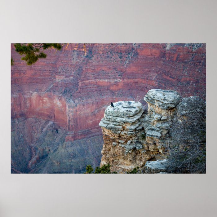 Pink Perfection Grand Canyon Gift 2606 Print