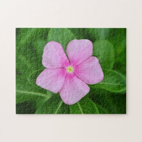 Pink Periwinkle Flower Garden Art Puzzle