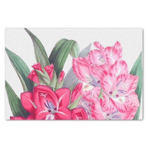 Pink Peruvian Lilies Floral Tissue Paper