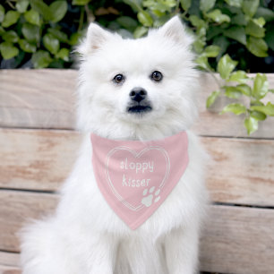Pink Pet Bandana Collar
