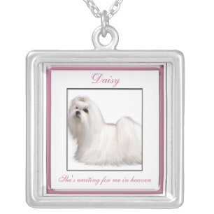Pink Pet Memorial Necklace