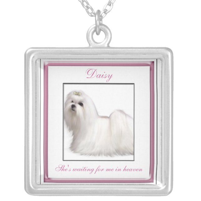 Pink Pet Memorial Necklace (Front)