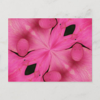Pink Petal Abstract Postcard