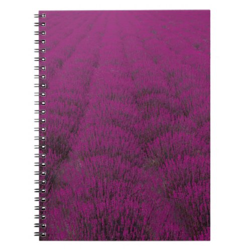 Pink petaled flower field notebook