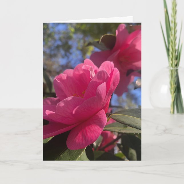 Pink Petals 1 - Folded Greeting Card (Front)