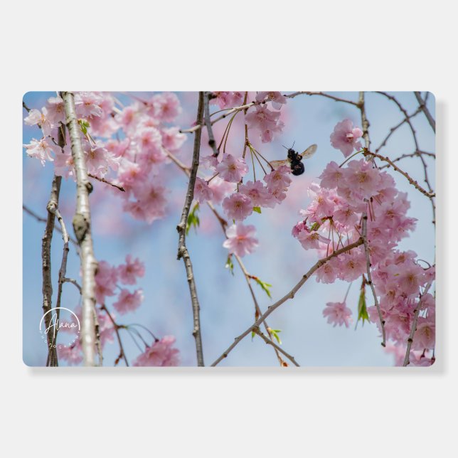 Pink petals and a busy bee Foam Boards (Front)