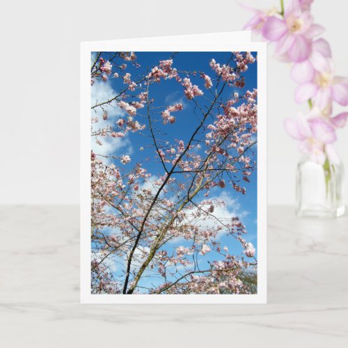 Pink Petals in Blue Sky Landscape Card
