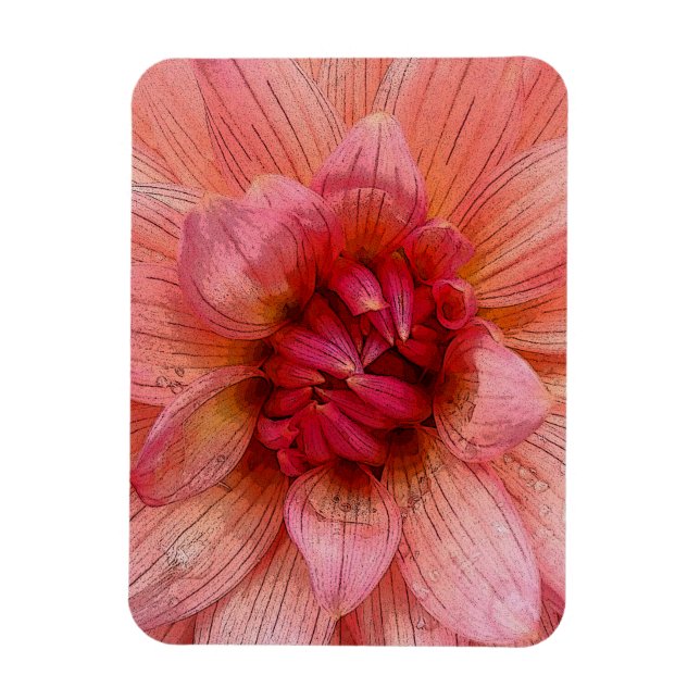 pink petals magnet (Vertical)