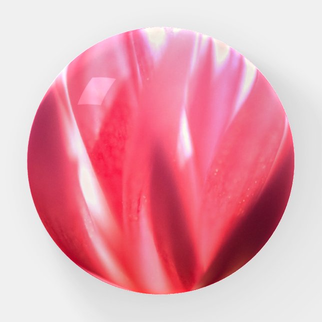 Pink Petals Paperweight (Front)