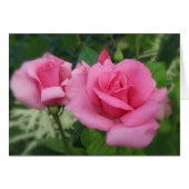 Pink Petals - Roses (Front Horizontal)