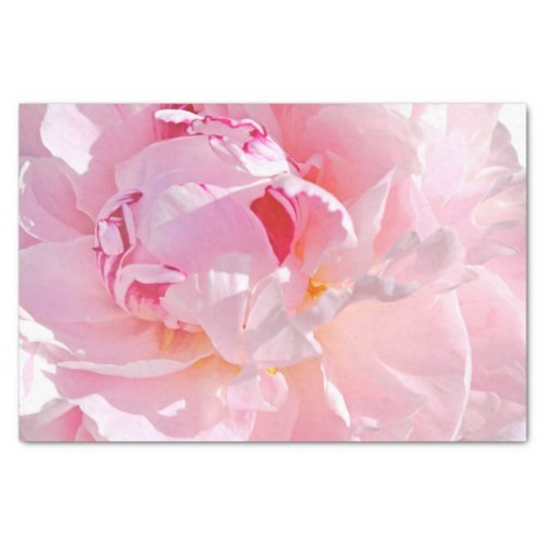 pink petals tissue paper