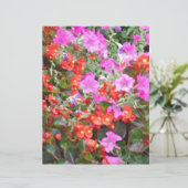 Pink petunia and red geraniums (Standing Front)