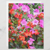 Pink petunia and red geraniums (Front/Back)