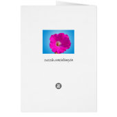 pink petunia flower cards (Back)
