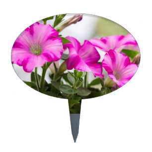 Pink Petunia Passion Cake Topper
