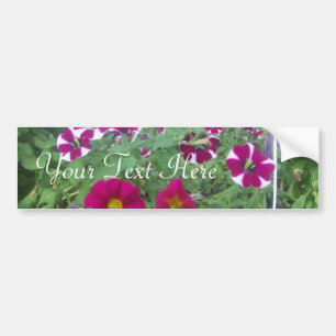 Pink Petunias Bumper Sticker