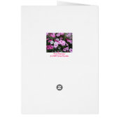 "Pink Petunias" Cards (Back)