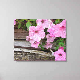 Pink Petunias On Barn Wood Canvas Print