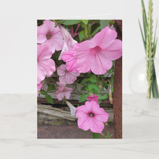 Pink Petunias Thinking of You Card (Front)