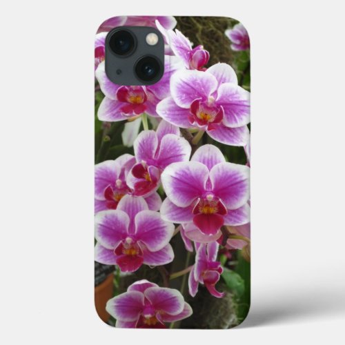 Pink Phalaenopsis iPhone 13 Case