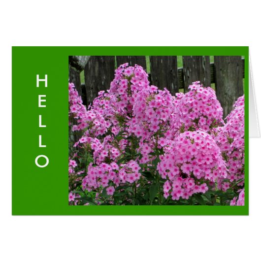 Pink Phlox and Fence Cards (Front Horizontal)