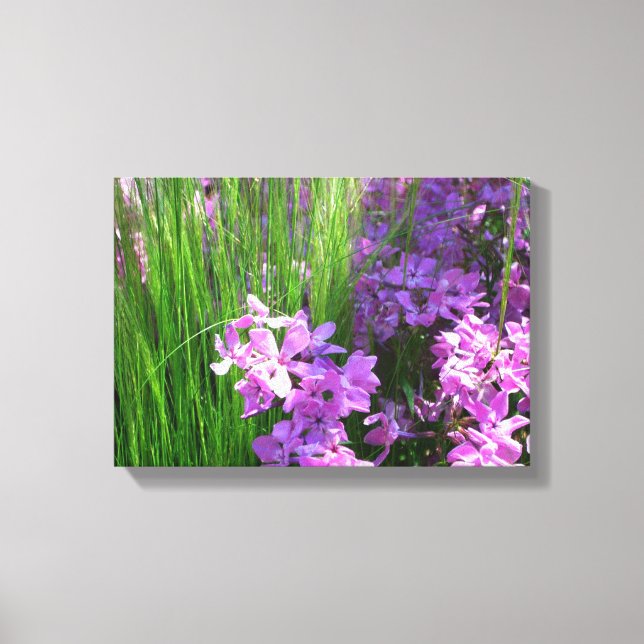Pink Phlox and Grass Summer Floral Canvas Print (Front)