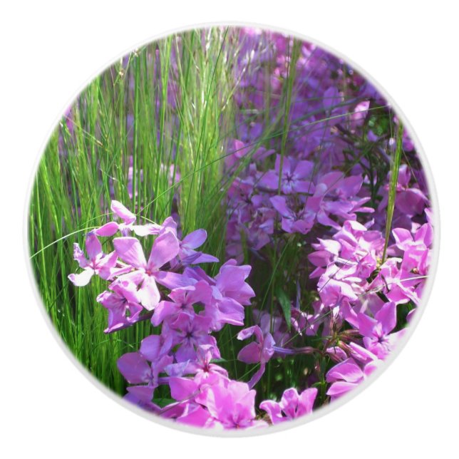 Pink Phlox and Grass Summer Floral Ceramic Knob (Front)