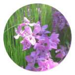 Pink Phlox and Grass Summer Floral Classic Round Sticker
