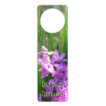 Pink Phlox and Grass Summer Floral Door Hanger