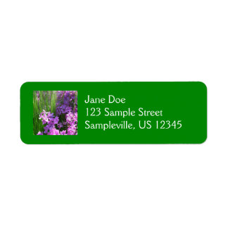 Pink Phlox and Grass Summer Floral Label