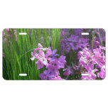 Pink Phlox and Grass Summer Floral License Plate