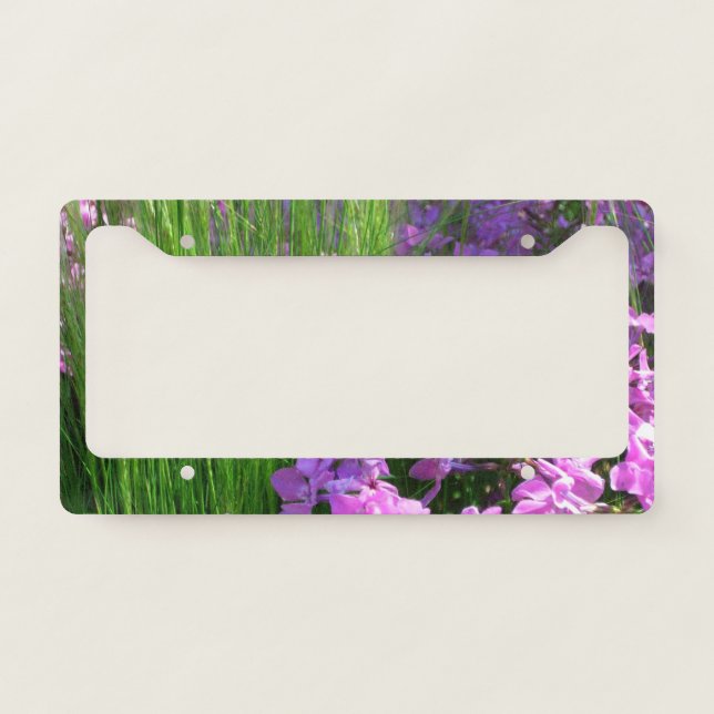 Pink Phlox and Grass Summer Floral License Plate Frame (Front)