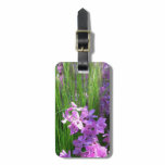 Pink Phlox and Grass Summer Floral Luggage Tag