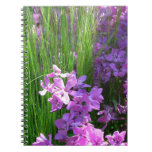 Pink Phlox and Grass Summer Floral Notebook