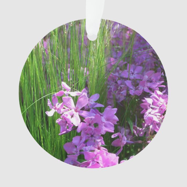 Pink Phlox and Grass Summer Floral Ornament (Front)