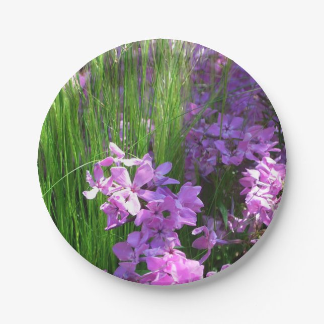 Pink Phlox and Grass Summer Floral Paper Plates (Front)
