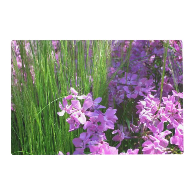 Pink Phlox and Grass Summer Floral Placemat (Front)