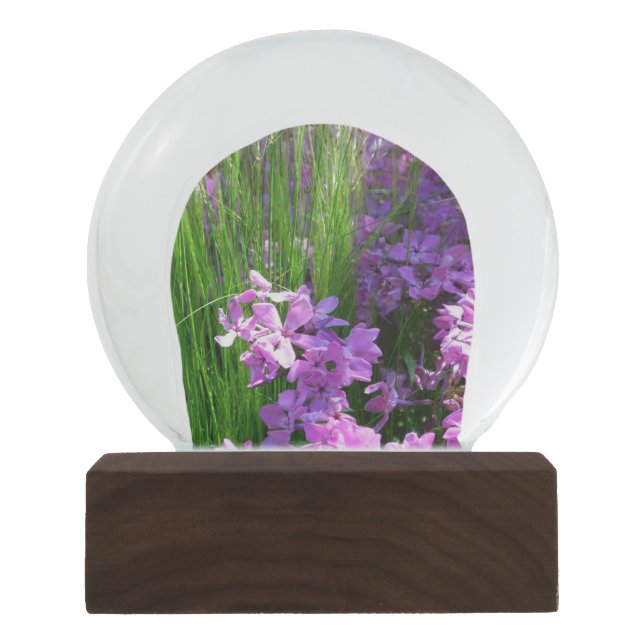 Pink Phlox and Grass Summer Floral Snow Globe (Front)