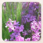Pink Phlox and Grass Summer Floral Square Paper Coaster